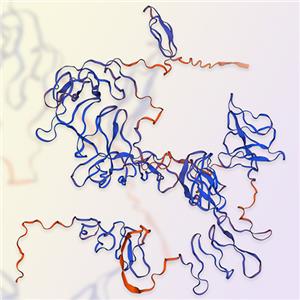 顆粒蛋白前體Progranulin（GRN）蛋白-ACROBiosystems百普賽斯