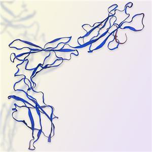 IL-23R重組蛋白，ACROBiosystems百普賽斯