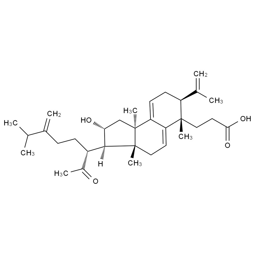 茯苓酸A,Poricoic acid A