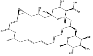 納他霉素雜質(zhì)12,Natamycin Impurity 12