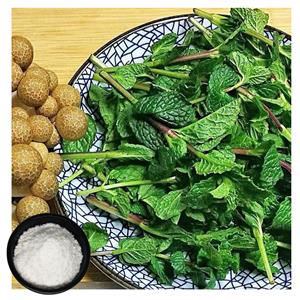 薄荷香精,Mint flavor