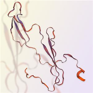 重組人多效生長因子PTN（Pleiotrophin）-ACROBiosystems百普賽斯