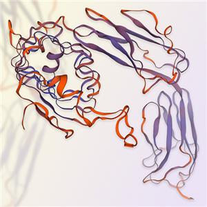 重组人TrkC/NTRK3蛋白-ACROBiosystems百普赛斯