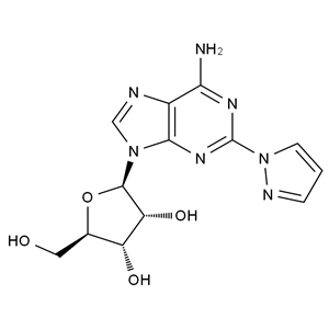 瑞加德松雜質5,Regadenoson Impurity 5