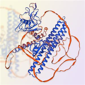 APLP2蛋白-ACROBiosystems百普赛斯