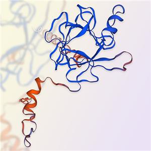 FGF19蛋白-ACROBiosystems百普赛斯