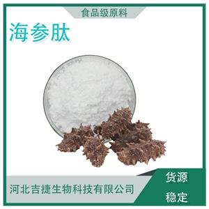 海參肽,Sea cucumber peptide