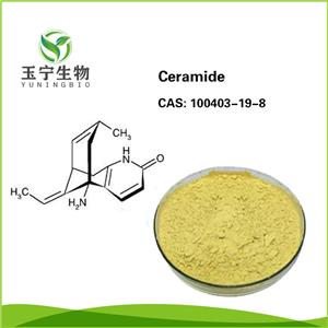 神經(jīng)酰胺,Ceramide