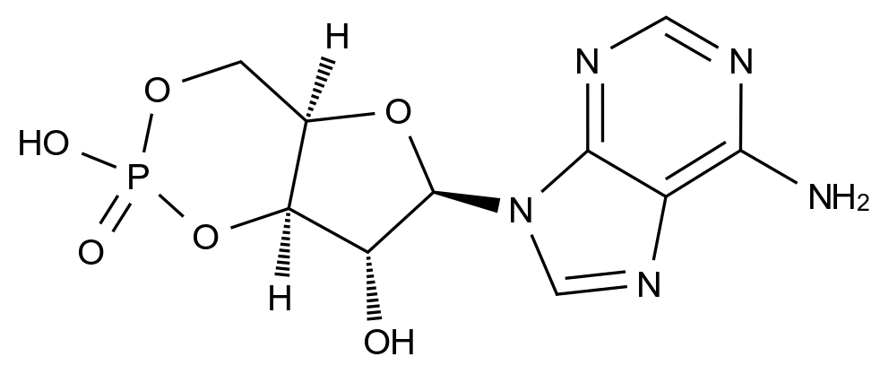 環(huán)磷酸腺苷雜質(zhì)2,Adenosine Cyclophosphate Impurity 2