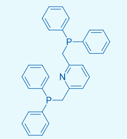 2,6-雙[(二苯基膦基)甲基]吡啶,2,6-Bis [(diphenylphosphine) methyl] pyridine