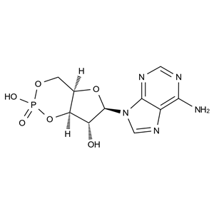 CATO_環(huán)磷酸腺苷雜質(zhì)2_24493-93-4_97%