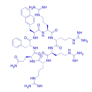 環(huán)狀細(xì)胞穿透肽CPP9/1831064-63-1/CPP9