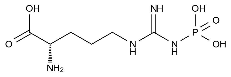 Phospho-L-arginine trisodium salt