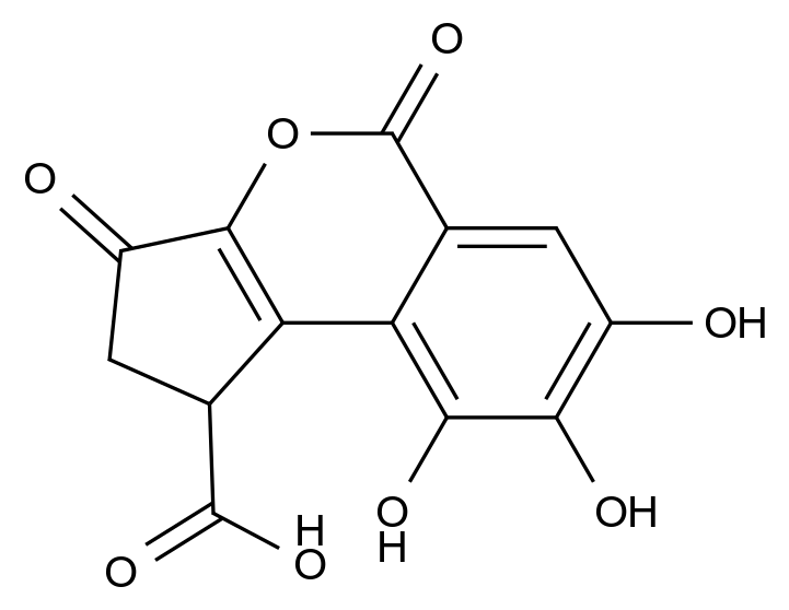 Brevifolincarboxylic acid,Brevifolincarboxylic acid