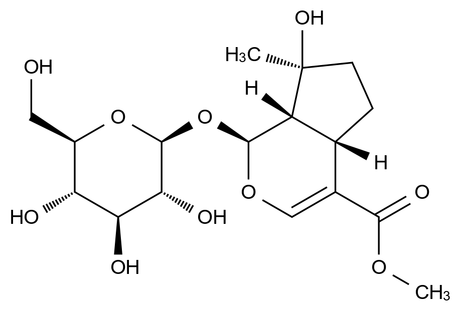 (1S,4aS,7S,7aS)-7-羥基-7-甲基-1-(((2S,3R,4S,5S,6R)-3,4,5-三羥基-6-(羥甲基)四氫-2H-吡喃-2-基)氧基)-1,4a,5,6,7,7a-六氫環(huán)戊并[c]吡喃-4-羧酸甲酯,(1S,4aS,7S,7aS)-Methyl 7-hydroxy-7-methyl-1-(((2S,3R,4S,5S,6R)-3,4,5-trihydroxy-6-(hydroxymethyl)tetrahydro-2H-pyran-2-yl)oxy)-1,4a,5,6,7,7a-hexahydrocyclopenta[c]pyran-4-carboxylate