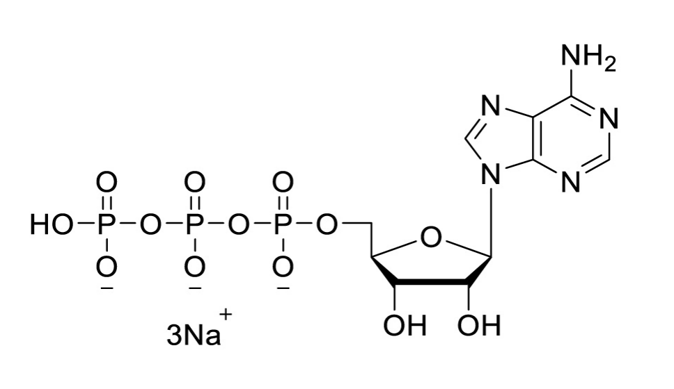 胞苷三磷酸,Cytidine-5'-triphosphate