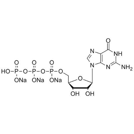 鳥苷酸、鳥苷-5'-三磷酸,Guanosine-5'-Triphosphate