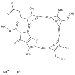 CHLOROPHYLLIDE A