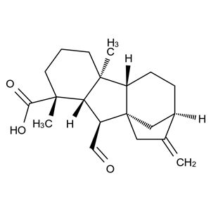 Gibberellin A12 Aldehyde