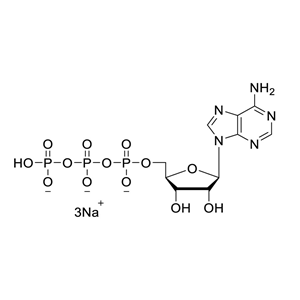 腺苷酸，腺苷三磷酸