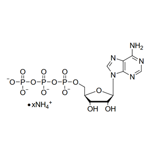 胞苷三磷酸,Cytidine-5