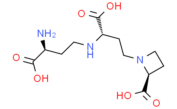 三磷酸腺苷二鈉（ATP）,ATP