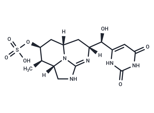 Cylindrospermopsin,Cylindrospermopsin