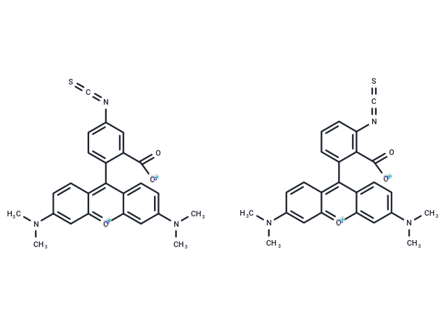 四甲基羅丹明-5(6)-異硫氰酸（混合物）,5(6)-TRITC [Tetramethylrhodamine-5-(and-6)-isothiocyanate] *Mixed isomers*