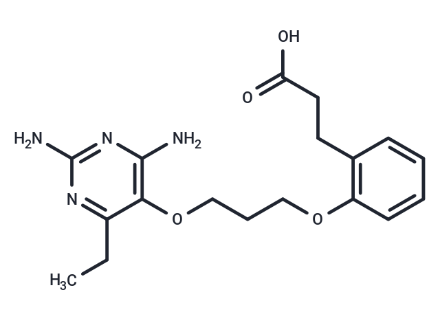 化合物 DHFR-IN-5,DHFR-IN-5