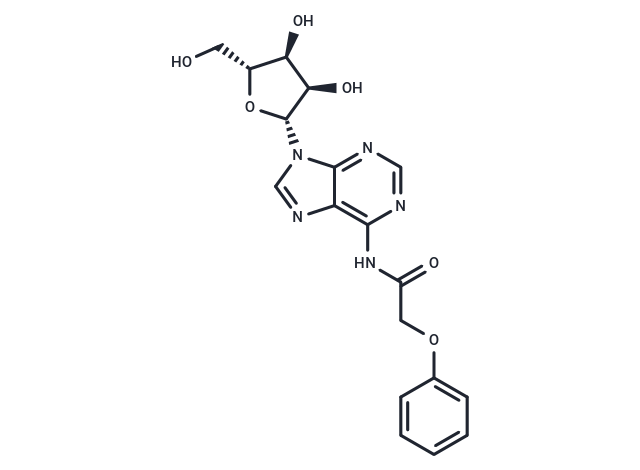 化合物 N6-Phenoxyacetyladenosine,N6-Phenoxyacetyladenosine