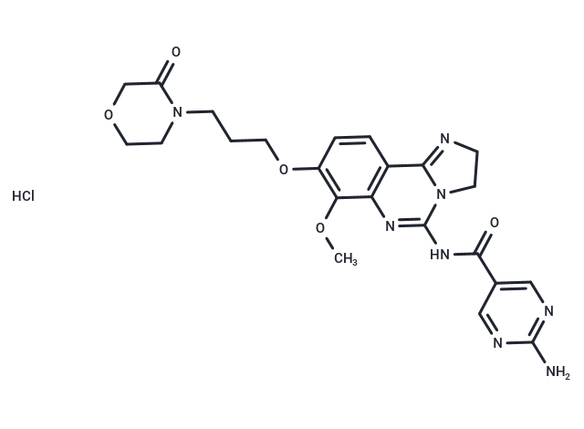 PI3K-IN-19 hydrochloride,PI3K-IN-19 hydrochloride