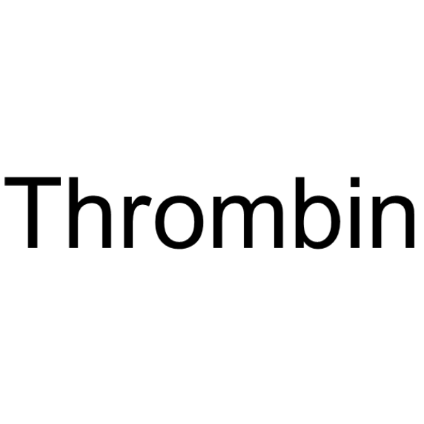 凝血酶,Thrombin (MW 37kDa)