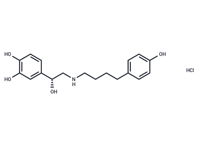 化合物 Arbutamine hydrochloride,Arbutamine hydrochloride