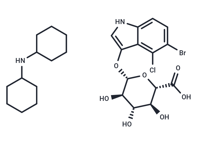 5-溴-4-氯-3-吲哚基-beta-D-葡糖苷酸環(huán)己胺鹽,X-Gluc Dicyclohexylamine