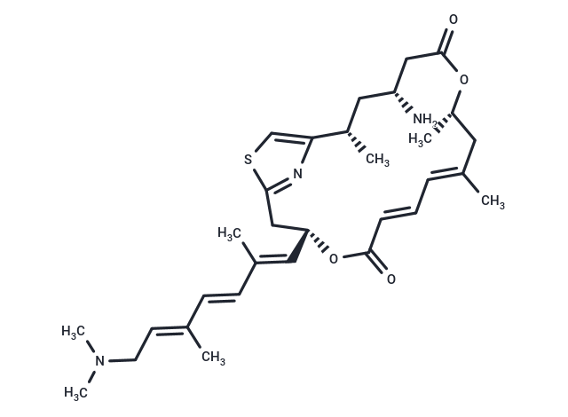 化合物 Pateamine A,Pateamine A