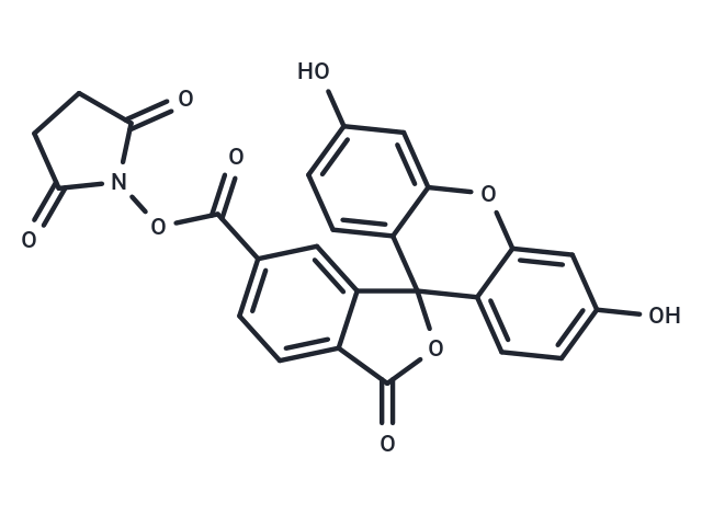 6-羧基熒光素琥珀酰亞胺醚,6-FAM SE