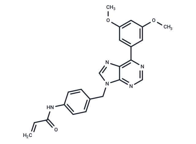 化合物 FGFR-IN-13,FGFR-IN-13