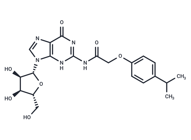 化合物 N2-(Isopropylphenoxyacetyl)guanosine,N2-(Isopropylphenoxyacetyl)guanosine