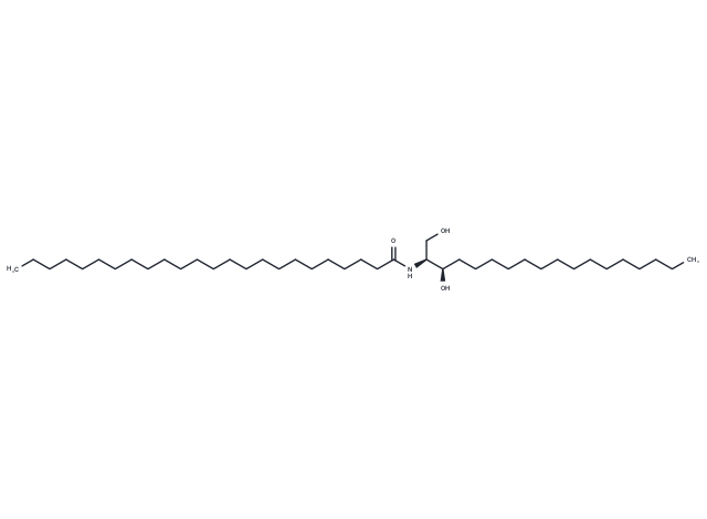 C24 dihydro Ceramide (d18:0/24:0),C24 dihydro Ceramide (d18:0/24:0)