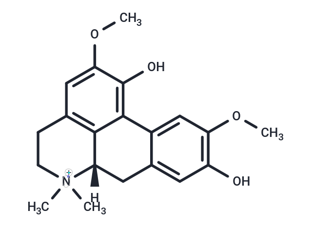 化合物 Laurifoline,Laurifoline