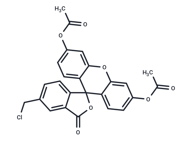 化合物 CMFDA,CMFDA