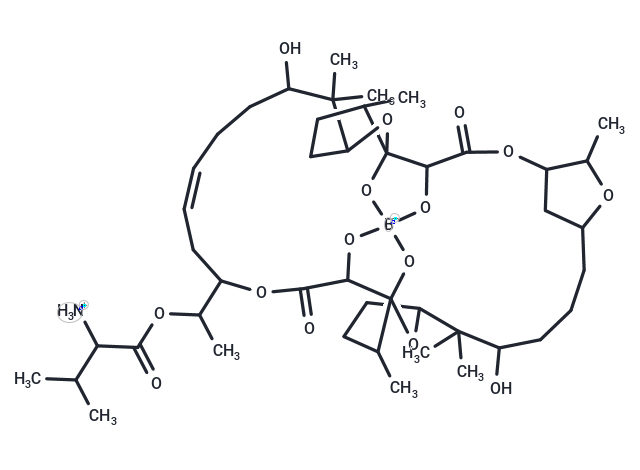 Boromycin,Boromycin