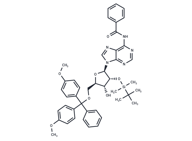 5'-O-DMT-2'-O-TBDMS-N-Bz-Adenosine,5'-O-DMT-2'-O-TBDMS-N-Bz-Adenosine