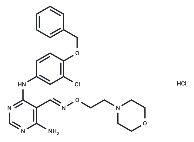 化合物 JNJ28871063 hydrochloride,JNJ28871063 hydrochloride