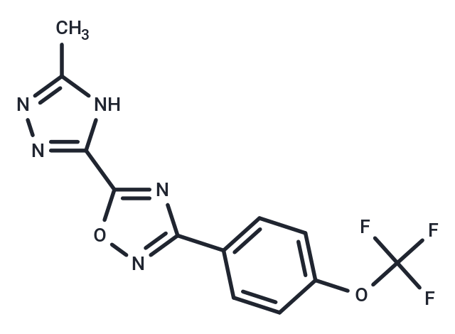 化合物 5-(5-methyl-1H-1,2,4-triazol-3-yl)-3-[4-(trifluoromethoxy)phenyl]-1,2,4-oxadiazole,5-(5-methyl-1H-1,2,4-triazol-3-yl)-3-[4-(trifluoromethoxy)phenyl]-1,2,4-oxadiazole