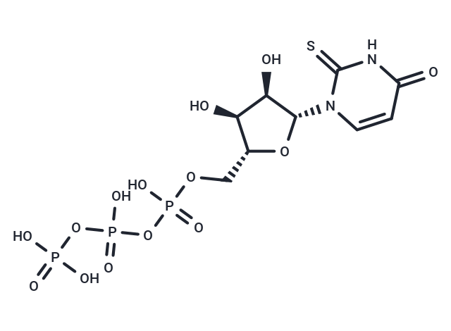 化合物 2-ThioUTP tetrasodium salt,2-ThioUTP tetrasodium salt