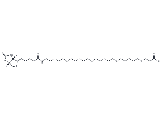 BIOTIN-八聚乙二醇-丙酸,Biotin-PEG8-acid