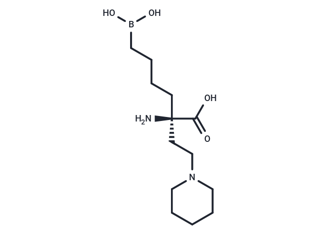 化合物 Arginase inhibitor 1,Arginase inhibitor 1