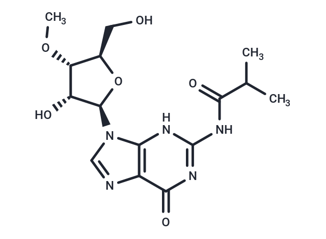 化合物 N2-iso-Butyroyl-3’-O-methylguanosine,N2-iso-Butyroyl-3’-O-methylguanosine