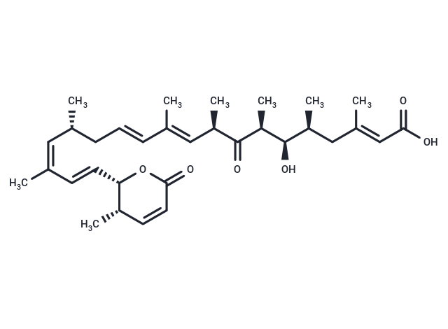 來普霉素A,Leptomycin A